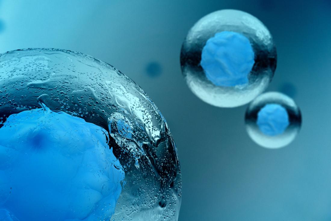 Stem Cell Therapy